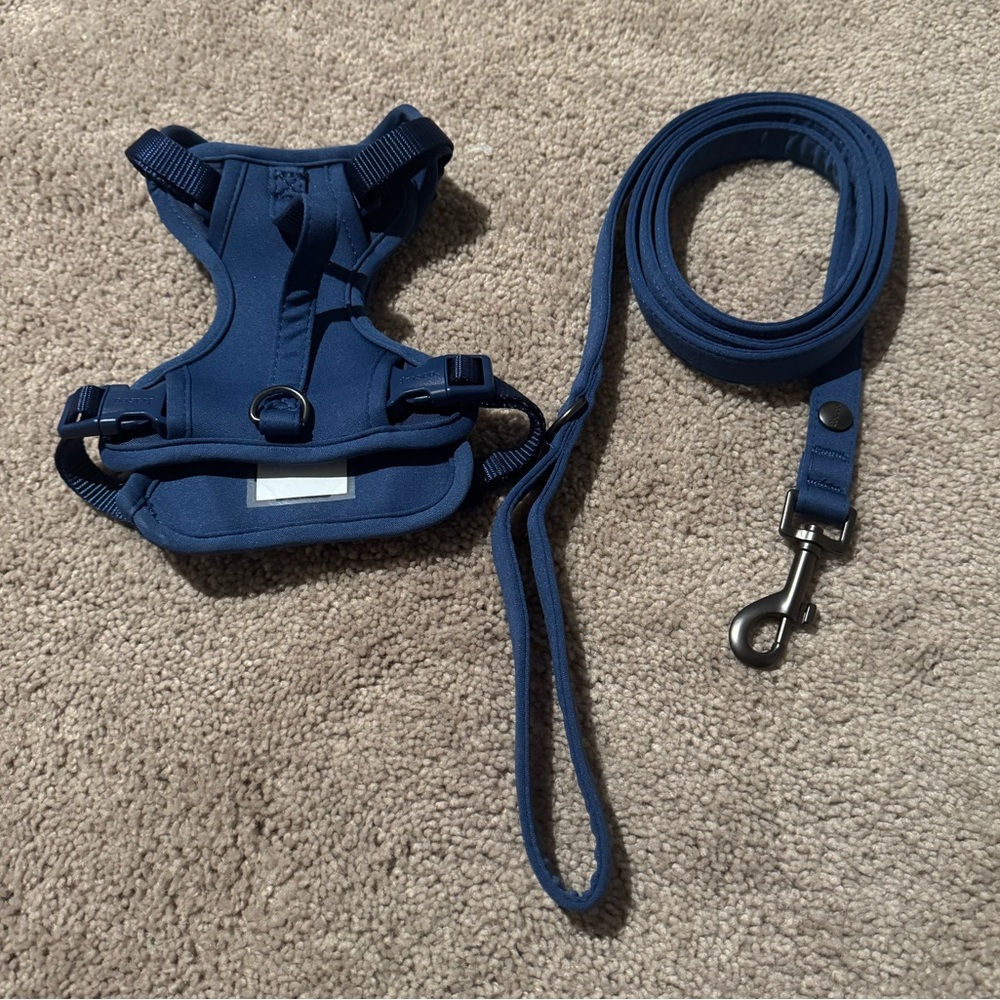 Frisco Dog Harness & Leash Set